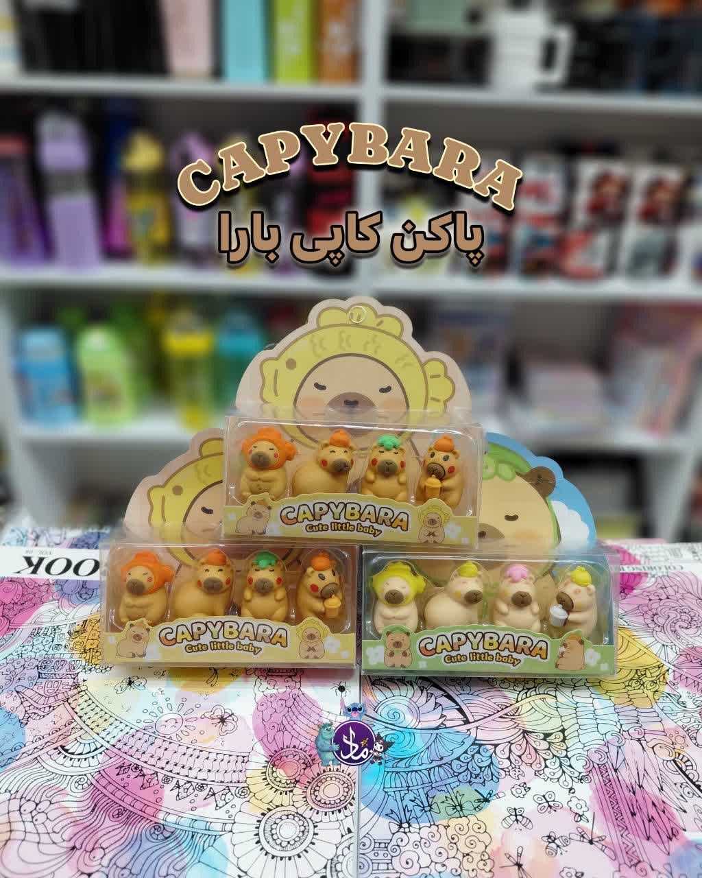 پاکن کاپی بارا 🌰